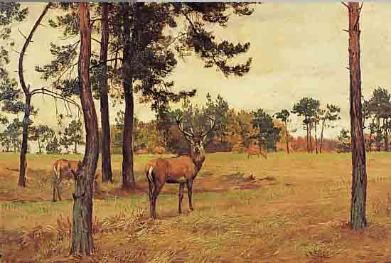 HüNTEN, MAX, *1869 DüSSELDORF, STUDIERTE AN DER DüSSELDORFER AKADEMIE UND AN DER ACADEMIE JULIAN IN PARIS, WAR SCHüLER VON E.V. ...