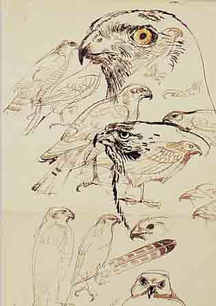 FANTIN-LATOUR, HENRI THEODORE JEAN IGNACE, 1836-1904, VOGELSTUDIE, ADLER UND RAUB- VöGEL, LAVIERTE TUSCHEZEICHNUNG AUF PAPIER (MIT ...