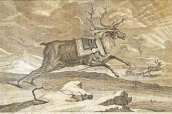 RIDINGER, 18. JH., KUPFERSTICH, 33 X 40 CM, STOCKFLECKIG, ALTERSCHäDEN