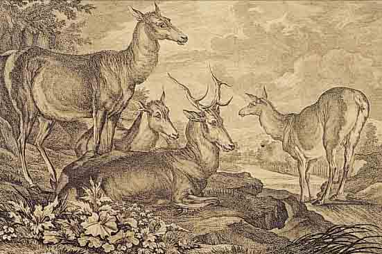 RIDINGER, JOH. ELIAS, VERSCH. WILDTIERE, RESTAURIERTER RIß, CA. 27 X 40 CM, U.GL., R.
