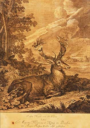 RIDINGER, DREI KUPFERSTICHE, 35.5 X 26 CM, PP. U.GLAS, RAHMEN, 2 X KEILER UND 1 X HIRSCH, ALTERSBEDINGT GEBRäUNT ...