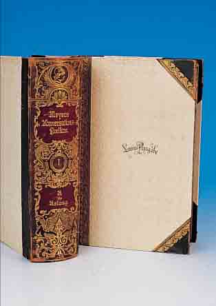MEYER'S KONVERSATIONS-LEXIKON, 1895, 20 BäNDE UND EIN ERGäNZUNGSBAND, HALBLEDEREIN-BAND, LUXUSAUSGABE, LEIPZIG UND WIEN, MIT ...