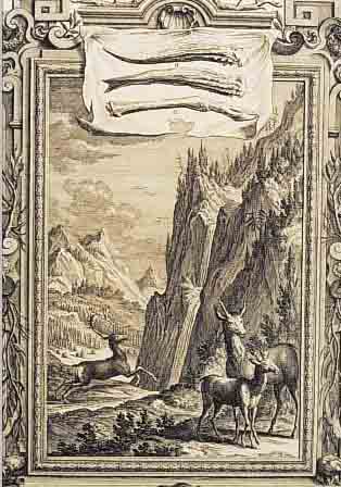 KONVOLUT ZWEI KUPFERSTICHE, 19. JH., 1 X RIDINGER, 33 X 20 CM, DER LECHSZENDE HIRSCH UND JäGER MIT JAGDHUND, UNTER GLAS, ...