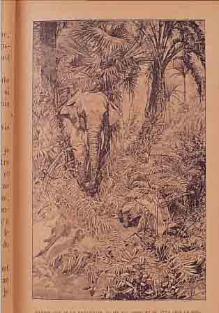 GAUTIER, JUDITH: MEMOIRES D'UN éLéPHANT BLANC,PARIS, 1918, 5. AUFLAGE MIT üBER 30 GANZ- SEITIGEN ILLUSTRATIONEN VON A. MUCHA, 286 SEI-TEN, ...