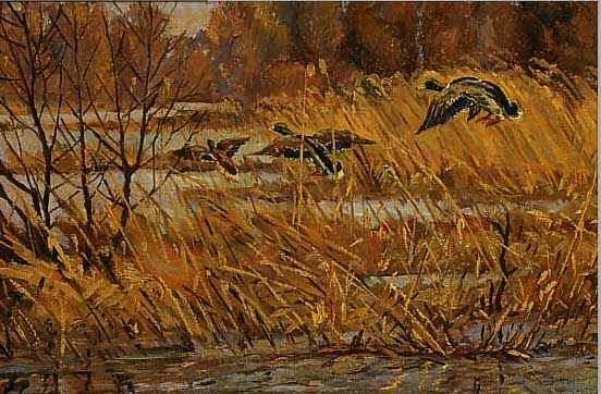 OTTENS, M., 1. HäLFTE 20. JH., FLIEGENDE ENTEN üBER EINEM WALDSEE, öL/MALKARTON, SIGN. U. DAT. (19)47, 27,5 X 37,5 CM, R.