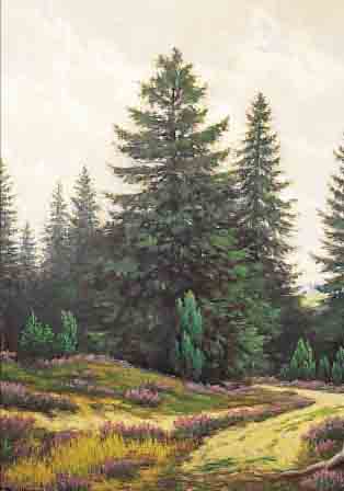 BOLLHAGEN, F., 50ER JAHRE, DüSSELDORFER SCHULE, ÖL/LWD. , LI. U. SIGN, 59X50 CM, WALDLANDSCHAFT, R.