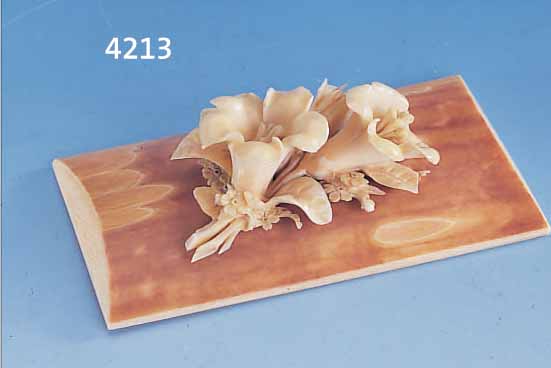 BRIEFBESCHWERER AUS ELFENBEIN, ERBACH UM 1870 VOLLPLASTISCHE, FREI GESCHNITZTE BLüTEN, BLüTENSTEMPEL 1X L. BEST., AUF HALBSCHEIBE AUS ...