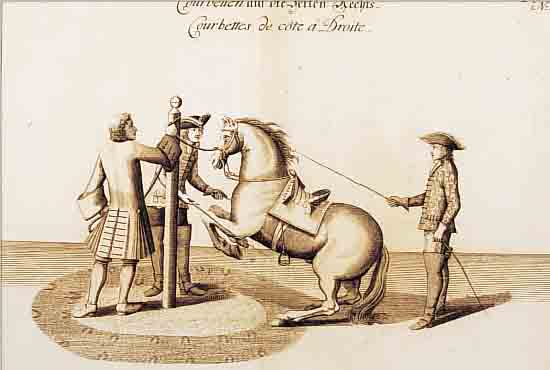 KONVOLUT VON 5 BLATT, MIT PRACHTVOLLEN PFERDEDARSTELLUNGEN AUS CAVENDISH W. DUKE OF NEWCASTLE NüRNBERG, ZIEGLER U. LEHMANN, CA. 1700: 1.) ...