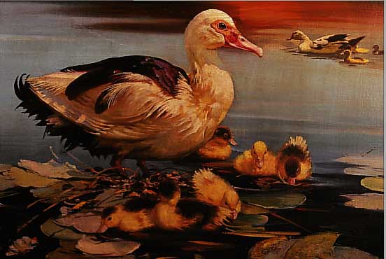 LJAMINS, J., WOHL FRANKREICH 20. JH., ENTE MIT KüKEN AM SEE, ÖL/LWD, RE. U. SIGN., CA. 48 X 65.5 CM, R.