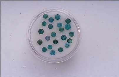 LOT RUNDE PARAIBA-TURMALINE, ZUS. CA. 2.28 CT