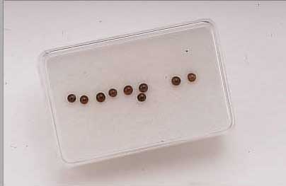 9 ALEXANDRIT-KATZENAUGEN, ZUS. CA. 1.28 CT