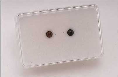 2 ALEXANDRIT-KATZENAUGEN ZUS. CA. 0.95 CT