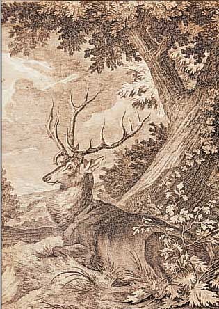 RIDINGER, 18. JH., KUPFERSTICH, HIRSCHDARSTELLUNG MIT BEZEICHNUNG, UNTER GLAS, R., 36,5 X 28 CM