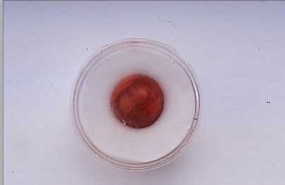 FEUEROPAL-CABOCHON CA. 13.13 CT