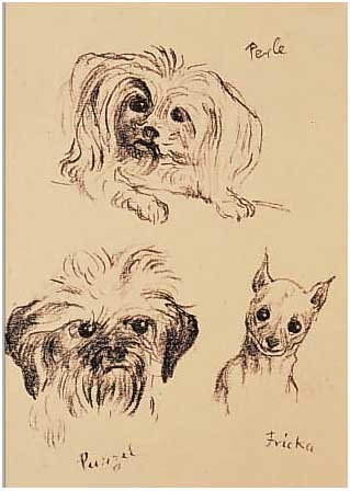 ORLIK, EMIL, 1870-1932, DREI HUNDEKöPFE: PERLE, PURZEL UND FRICKA, RE. U. HANDSIGN., GEBRäUNT, CA. 15 X 11 CM, PP