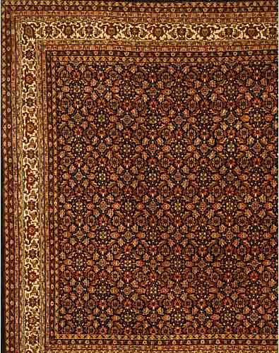 INDO-SAROGH, 246 X 249CM, FLOR WOLLE, CA.5 JAHRE, EHZ 2