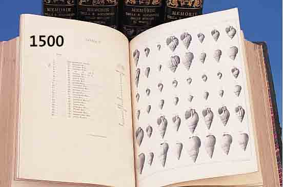 DI TORINO, MEMDI TORINO, MEMORIE DELLA REALE ACCADEMIA DELLE SCIENZE, 5 BÄNDE, TITEL: ERINNERUNGEN AN DIE WIRKLICHE AKADEMIE DER WISSENSCHAFT, ...