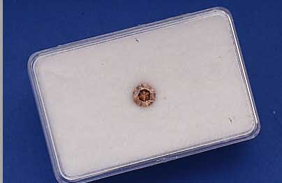 DIAMANT 1.01 CT BRAUNNATUR/SI-P1