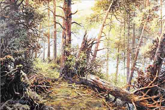 WISNIEWSKI, M., WARSCHAUER MALER, WALD NACH DEM STURM, ÖL/LWD, LI. U. SIGN., CA.50 X 75 CM, R.