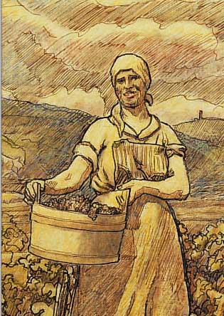 KOCH PETER, 1874-1956, WINZERIN IM WEINBERG, BUNSTSTIFT üBER TUSCH- FEDER, RE. U. SIGN., CA. 16 X 13,5 CM, U.GL., R.