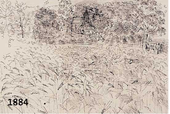 DUFY, RAOUL, 1877-1953, CHAMP DE SIEGLE, FARBLITHOGRAPHIE AUF BÜTTEN, GEDRUCKT VON DRAEGER FRERES PARIS 1949, NUM. 343/1000, CA. 28 X 37 CM