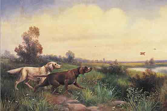 SCHöNBORN, G., DEUTSCHER JAGDMALER ENDE 19. JH., ZWEI JAGDHUNDE AM MOOR MIT AUFFLIEGENDEN ENTEN, ÖL/LWD. ...