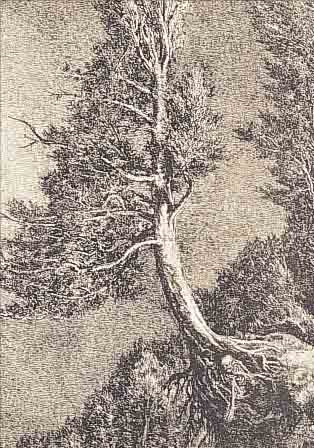 WEBER, A.PAUL, 1893 ARNSTADT-1980 SCHRETSTAKEN NAGER TOD, LITHOGRAPHIE, HANDSIGN., CA. 37 X 27 CM