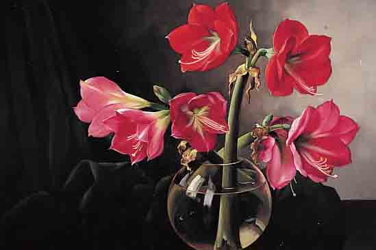 GENT, JOH. BAPTIST NICHOLAS V., *1891 ARNHEIM, KüNSTLER DER HAAGER SCHULE, MALT IN FOTOREALISTISCHER MANIER, HIER: AMARYLLIS, ...