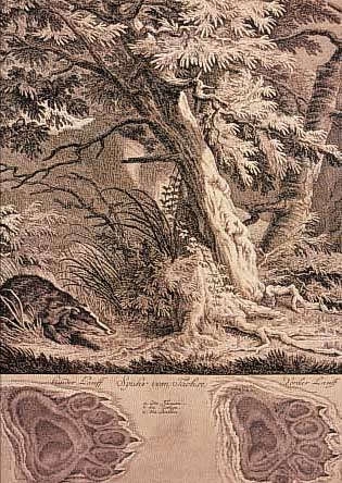 RIDINGER, JOH. ELIAS, KUPFERSTICH, DARST. EINES DACHSES UND SEINER SPUR, CA. 35 X 27.5 CM