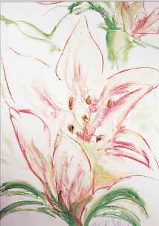BELLARTZ, ELISABETH, ZEITGEN. KüNSTLERIN AUS BIELEFELD, ORCHIDEE, GOUACHE, RE. U. SIGN., PP, U.GL.,R., CA. 74 X 54 CM