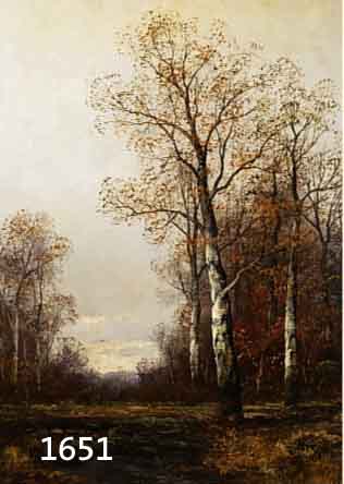 STEINBACH, GERTRUDE, GEB. 1871 DRESDEN, AUSGEBILDET IN DRESDEN UND MÜNCHEN, HIER: MOORLANDSCHAFT MIT BIRKEN IM HERBST, ÖL/LWD, RE. U. SIGN., CA. ...