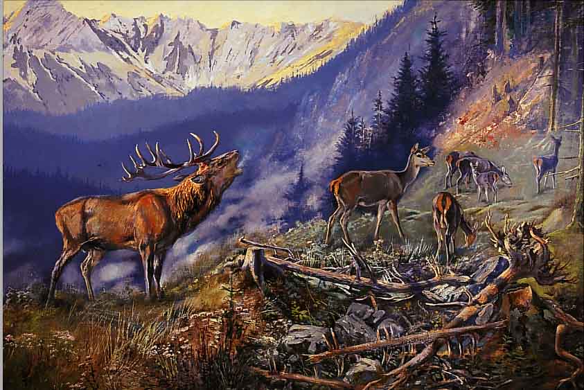 SINGER, ALBERT, MüNCHEN 1869-1922 SCHLIERSEE, WALDLICHTUNG MIT HIRSCH U. REHEN IN HOCH- GEBIRGSLANDSCHAFT, RE. U. SIGN. U. DAT. 1913, CA. ...