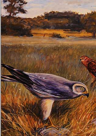 BARTH, FERDINAND, KONVOLUT AUS DREI GOUACHENDARST. VERSCHIEDENER WILDVöGEL, ALLE HANDSIGN.UND BETITELT, JE CA. 25 X 20 CM, ALLE IM WVZ
