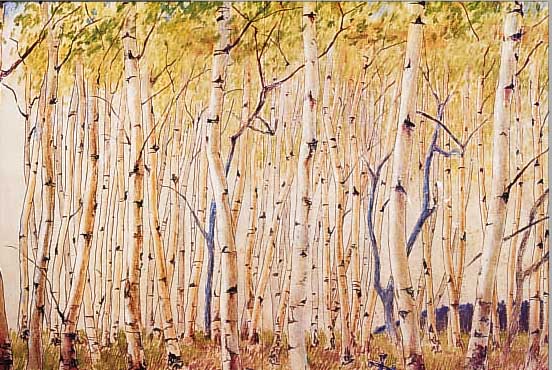 JANNSEN, HORST, "GROSSER BIRKENWALD", FARBOFFSET, HANDMONOGRAMMIERT I. DRUCK MONOGRAMMIERT UND DAT. 21.5.81, 78 X 50 CM