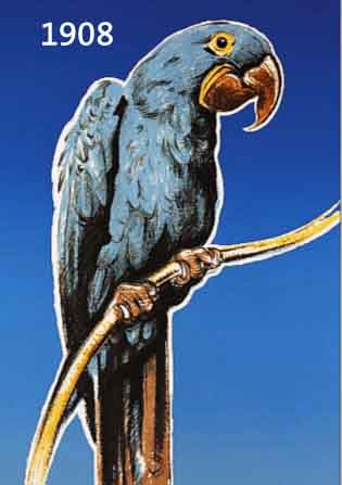 KNAKNAUS, EUGEN, 1900 MANNHEIM-1976 LAMPERTHEIM, PAPAGEI, FARBLITHOGRAPHIE, HANDSIGN., CA. 63 X 45 CM, U.GL., R.