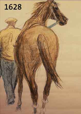 DILL, OTTO, 1884 - 1957, PFERD MIT HALTER, AQUARELLIERTE LITHOGRAPHIE, HANDSIGNIERT, RüCKSEITIG NACHLAßSTEMPEL, CA. 45 X 29 ...