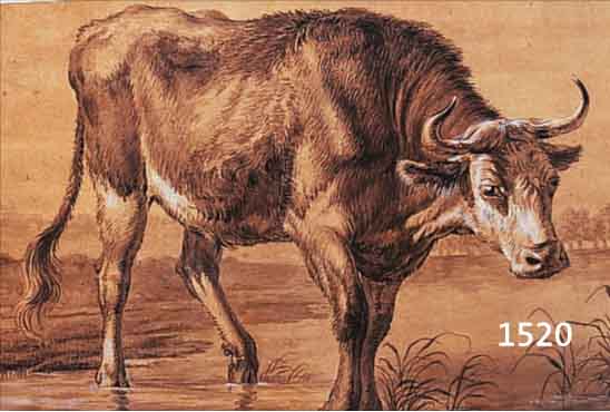 UNBEKANNTER MALER, DATIERT 1812, KUH IN DER FURT, AQUARELL IN VERSCHIEDENEN GRAU- UND BRAUNTöNEN, WEIß GEHöHT, LI. U. ...