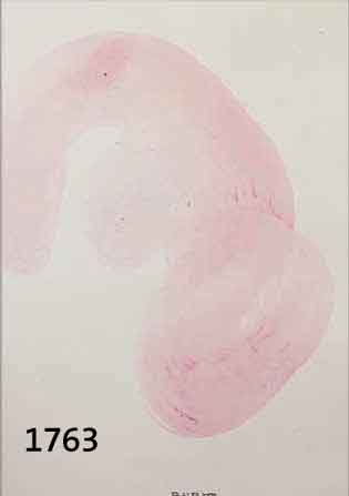 ANATANATOL (ANATOL HERZFELD), GEB. 1931 INTERBURG, GOUACHE AUF PAPIER, AUS DER REIHE: ZYKLUS DES LEBENS, MITTIG UNTEN SIGN., CA. 31 X 24,5 CM, ...