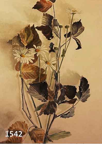 SIEBSIEBERT, GEORG, GEB. 1896 DRESDEN, STILLEBEN MIT MARGERITEN, AQUARELL, RE. U. SIGN. UND DAT. 1923, CA. 38,5 X 26,5 CM, U.GL., R.