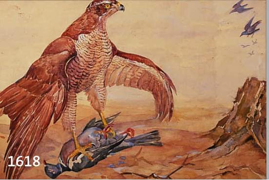 DAHLDAHLEM, JOSEF, 1872-1955, RAUBVOGEL MIT ERLEGTER BEUTE, AQUARELL ÜBER BLEISTIFT AUF PAPIER, RÜCKSEITIG MIT NACHLAßSTEMPEL, CA. 42 X 50 CM, ...