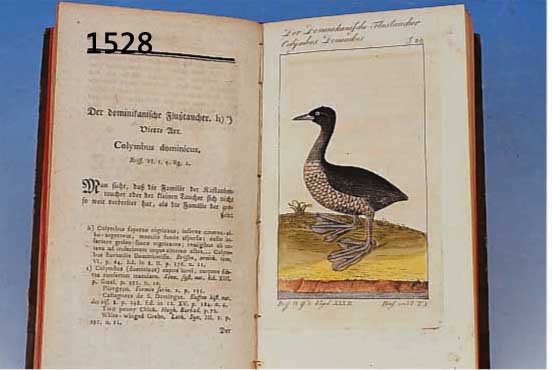HERRN VON BUFFONS NATURGESCHICHTE DER VöGEL, BAND 30 UND 31 VON 1802/1804, MIT EINEM TITELKUPFERSTICH, EINEM FRONTISPIZ UND 76 ...
