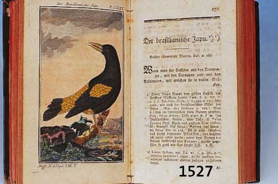 HERRN VON BUFFONS NATURGESCHICHTE DER VöGEL, 8. BAND 1789, MIT 47 ALTKOLORIERTEN KUPFER- STICHEN VERSCHIEDENER VöGEL, LEICHT STOCK- FLECKIG