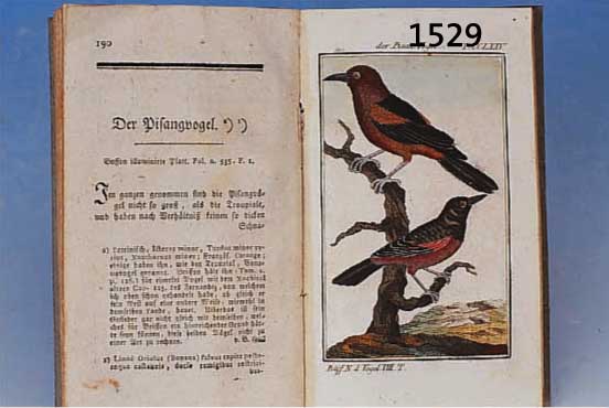 HERRN VON BUFFONS NATURGESCHICHTE DER VöGEL, 8. BAND 1789, AUSGABE WIEN SCHRäUBLE, MIT 47 ALTKOLORIERTEN KUPFERSTICHEN