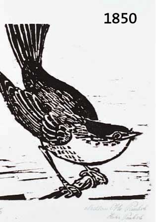PANKPANKOK, OTTO, VOGEL, HOLZSCHNITT, NUM. 42/75, RE. U. NACHLAßSIGNATUR DER WITWE PANKOKS, CA. 17 X 16 CM