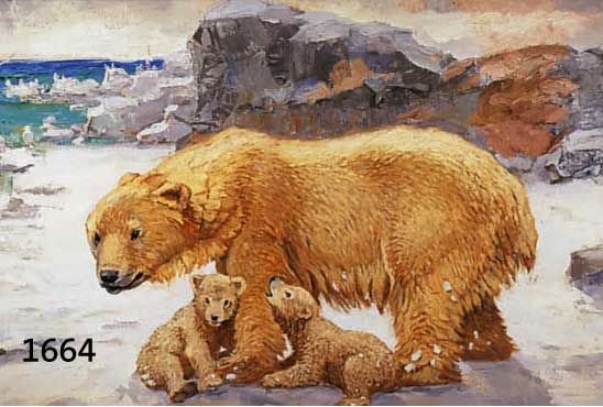 SCHEBEK, FERDINAND, 1875 WIEN, SCHüLER DER WIENER AKADEMIE, AUSGEZEICHNETER TIERMALER, WIRKTE IN BERLIN, HIER: EISBäRIN MIT JUNGEN ...