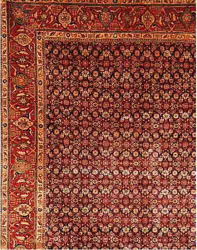 SAROGH MAHAL, PERSIEN, 350 X 268CM, FLOR WOLLE