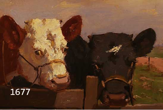MAUGMAUG, ANGE, HAMBURG 1870-1932, FREUNDIN UND SCHÜLERIN VON THOMAS LUDWIG HERBST, HIER: ZWEI KÜHE, ÖL/LWD, LI. U. SIGN., CA. 31,5 X 41 CM, R.