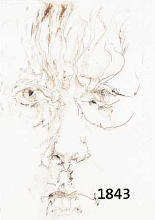 JANJANSSEN, HORST, 1929-1995 HAMBURG, SELBSTBILDNIS, RADIERUNG VON 1975, HAND- SIGN. UND NUM. 6608/10000, CA. 22 X 16 CM