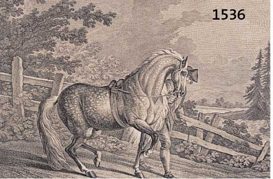 RIDRIDINGER, JOH. ELIAS, KUPFERSTICH EINES OLDENBURGERS, CA. 24,5 X 34 CM