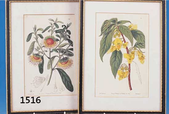 KONVOLUT AUS 8 ALTKOLOR. KUPFERSTICHEN, DT., UM 1810/20, 20.5 X 12.5 CM, U. GL. GER., Z.T. L. GEBRÄUNT